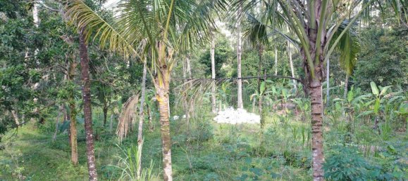  Land in Tegallalang, Indonesia No. 1153 7