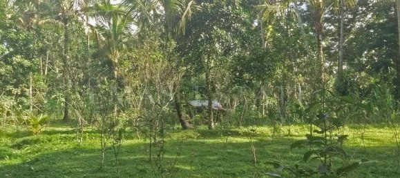  Land in Tegallalang, Indonesia No. 1153 9