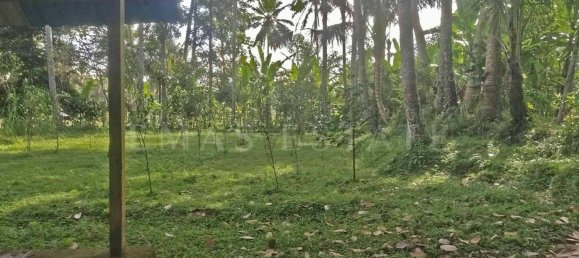  Land in Tegallalang, Indonesia No. 1153 21