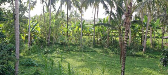  Land in Tegallalang, Indonesia No. 1153 15