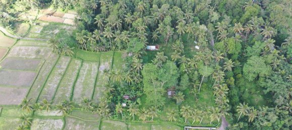  Land in Tegallalang, Indonesia No. 1153 5