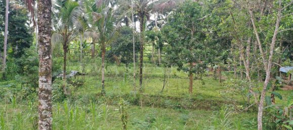  Land in Tegallalang, Indonesia No. 1153 12