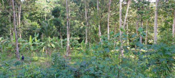  Land in Tegallalang, Indonesia No. 1153 19