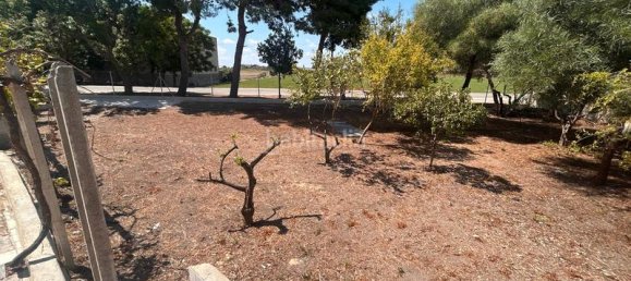 3 bedrooms House in Dolores, Spain No. 187871 12