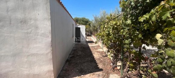 3 bedrooms House in Dolores, Spain No. 187871 9