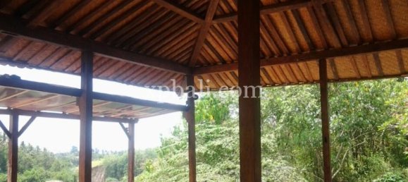 Земельный участок 2170м² в Убуд, Индонезия № 3861 5