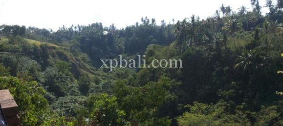 Земельный участок 2170м² в Убуд, Индонезия № 3861 2