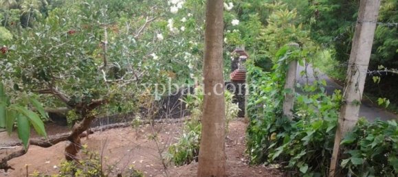 Земельный участок 2170м² в Убуд, Индонезия № 3861 6