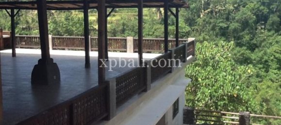 Земельный участок 2170м² в Убуд, Индонезия № 3861 7