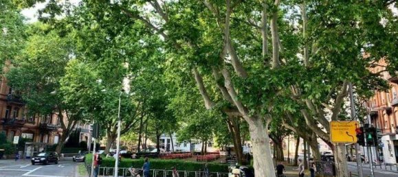 2-Zimmer Wohnung in Wiesbaden, Germany, Nr. 107720 8