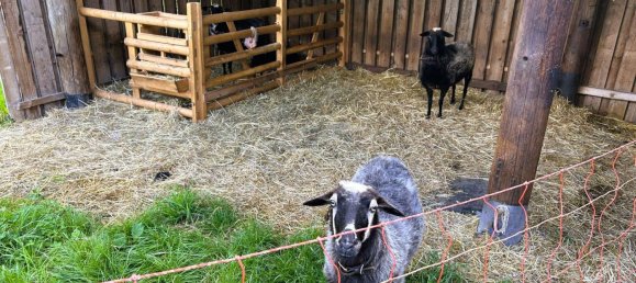 Casa T5 em Altenkirchen, Germany N.º 273776 27