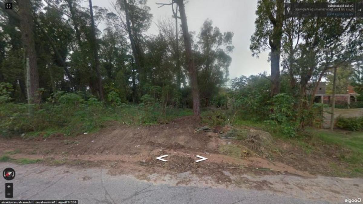 Terreno en Maldonado, Uruguay No. 14566