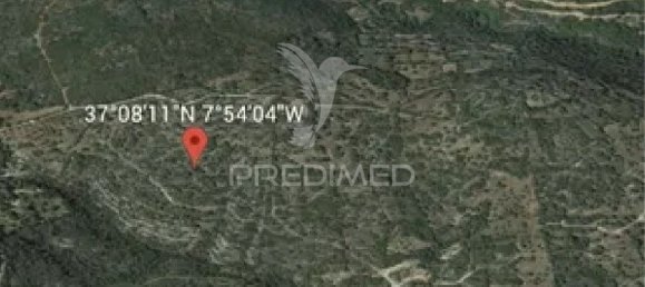 56502m² Land in Sao Bras de Alportel, Portugal No. 75129 4