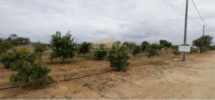 Земельный участок в Гия, Португалия № 10079