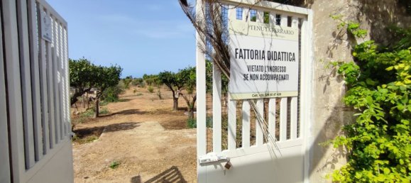 Hotel in Alezio, Italy 100000m², Nr. 331430 11