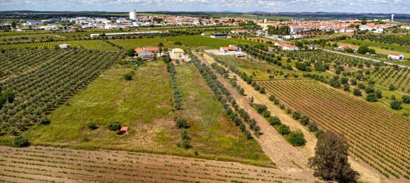Casa T4 em Reguengos de Monsaraz, Portugal N.º 29759 33