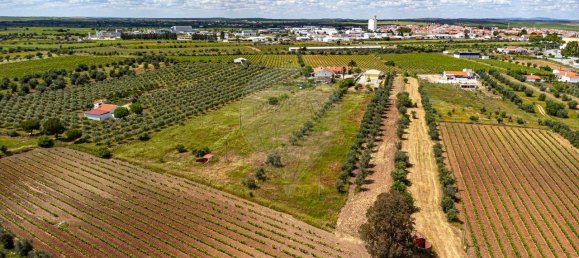 Casa T4 em Reguengos de Monsaraz, Portugal N.º 29759 38