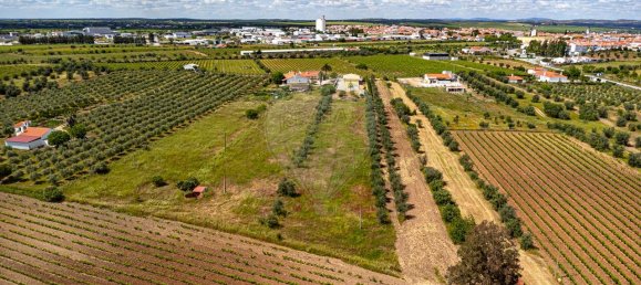 Casa T4 em Reguengos de Monsaraz, Portugal N.º 29759 36