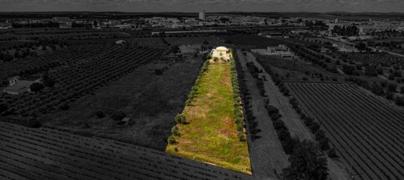 Casa T4 em Reguengos de Monsaraz, Portugal N.º 29759 37