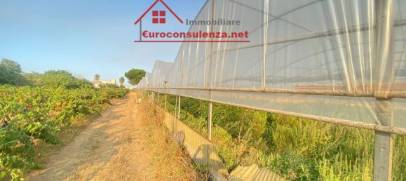 23m² Warehouse in Melissano, Italy No. 326399 7