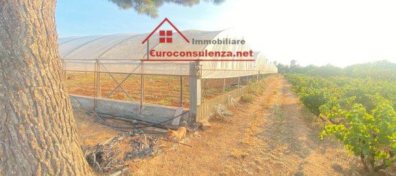 23m² Warehouse in Melissano, Italy No. 326399 5