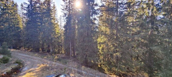 3غرفة منزل في Lobmingtal, Austria رقم 52898 20