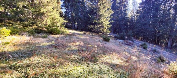 3غرفة منزل في Lobmingtal, Austria رقم 52898 4