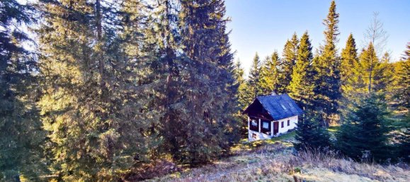 3غرفة منزل في Lobmingtal, Austria رقم 52898 19