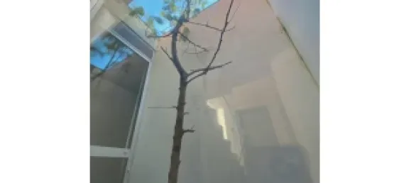 3 Schlafzimmer Haus in Cascais, Portugal, Nr. 173545 20