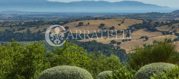 5 bedrooms Villa in Magliano in Toscana, Italy No. 304063 49