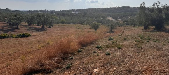 12غرفة منزل في Ostuni, Italy رقم 254565 27