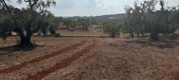 12غرفة منزل في Ostuni, Italy رقم 254565 26