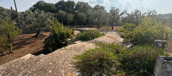 12غرفة منزل في Ostuni, Italy رقم 254565 17