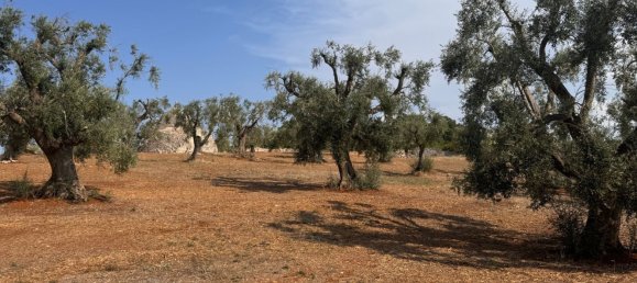 12غرفة منزل في Ostuni, Italy رقم 254565 23