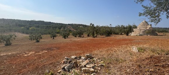 12غرفة منزل في Ostuni, Italy رقم 254565 19