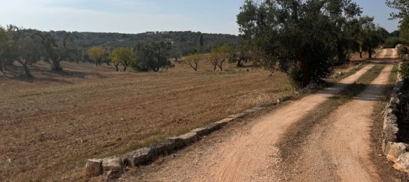 12غرفة منزل في Ostuni, Italy رقم 254565 24