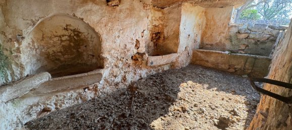 12غرفة منزل في Ostuni, Italy رقم 254565 13