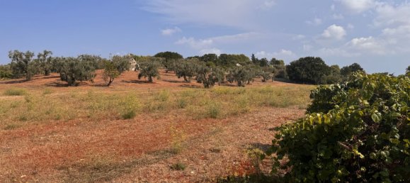 12غرفة منزل في Ostuni, Italy رقم 254565 28