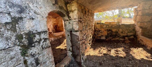 12غرفة منزل في Ostuni, Italy رقم 254565 12