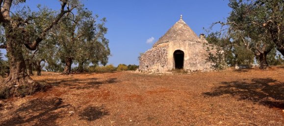 12غرفة منزل في Ostuni, Italy رقم 254565 18