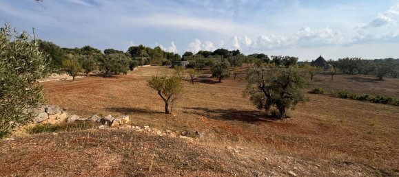 12غرفة منزل في Ostuni, Italy رقم 254565 29