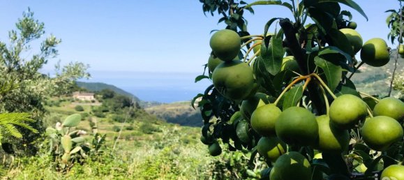 Casa T2 em Belmonte Calabro, Italy N.º 232498 9