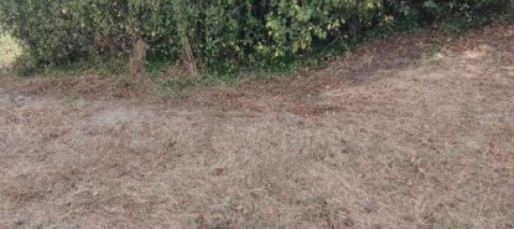 Дом с 2 спальнями в Чивитакуана, Италия № 185173 21