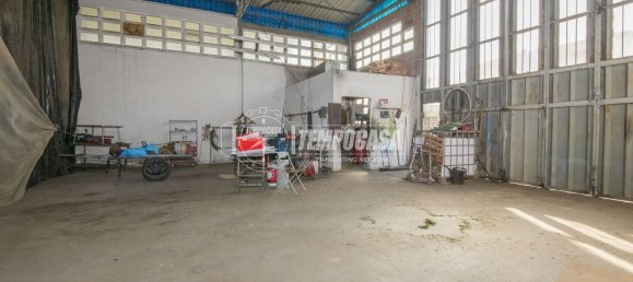 6000m² Warehouse in Roncofreddo, Italy No. 263496 21