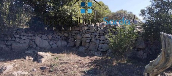 Studio in Trinità d'Agultu e Vignola, Italy No. 232880 14