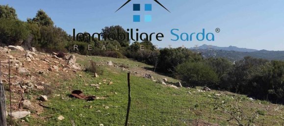 Studio in Trinità d'Agultu e Vignola, Italy No. 232880 52