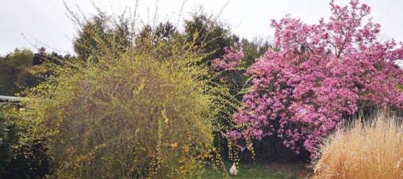 12 chambres Villa à Bad Waltersdorf, Austria No. 144347 16