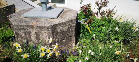 12 chambres Villa à Bad Waltersdorf, Austria No. 144347 13