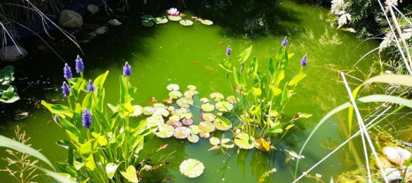 12 chambres Villa à Bad Waltersdorf, Austria No. 144347 8