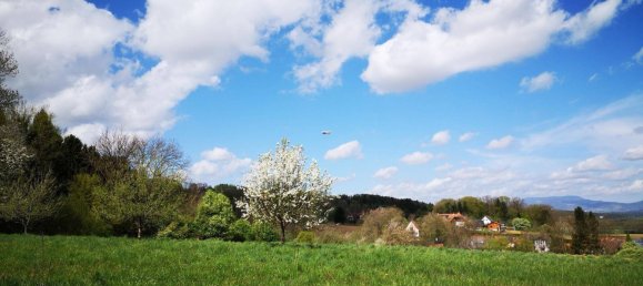 12 chambres Villa à Bad Waltersdorf, Austria No. 144347 25